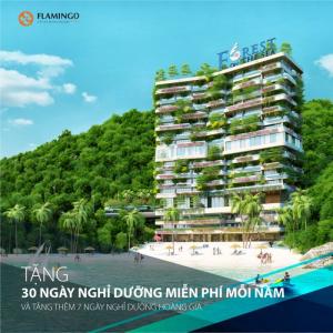 Cơ hội đầu tư Mặt biển Cát Bà nhận ngay lợi nhuận 30%
