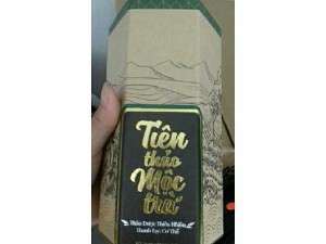 Tiên thảo mộc trà