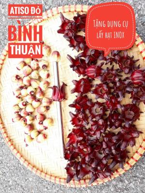 Atiso đỏ tại hồ chí minh
