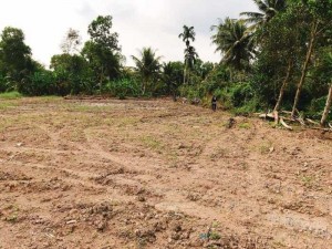 Cần bán gấp 1.000m2 thổ cư tại Tân Trụ.