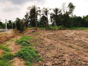 Cần bán gấp 1.000m2 thổ cư tại Tân Trụ.
