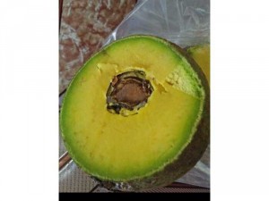 Bơ Booth nhà trồng sạch 100%