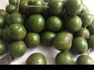Bơ Booth nhà trồng sạch 100%