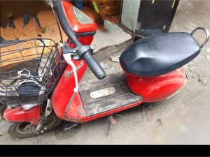 Xe điện moscha