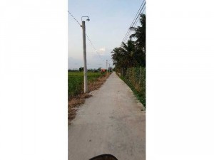 Bán nhà vườn 1.200m2 thổ cư tại Tân Trụ