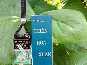 Tinh dầu bưởi nguyên chất