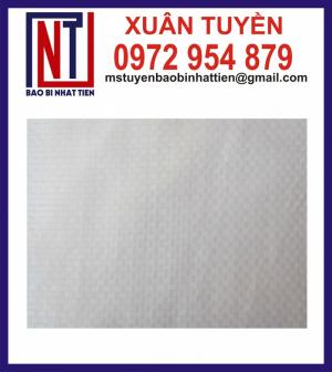 bao PP trắng không in