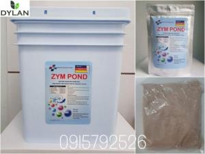 Men vi sinh xử lý nước ZYM POND