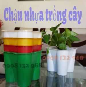Chậu Nhựa Trồng Hoa, Chậu Nhựa Trồng Cây