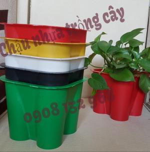 Chậu Nhựa Trồng Hoa, Chậu Nhựa Trồng Cây