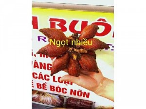 Mây Thái Ngọt