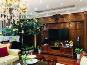 Chủ nhà bán gấp cắt lỗ 4tỷ, Biệt thự Phạm Văn Hai,112m.