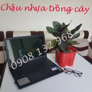 Cần Bán Chậu Hoa Nhựa, Chậu Nhựa Trồng Hoa