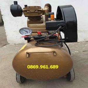 Máy nén khí dây đai TM-W-1.6/8-500L