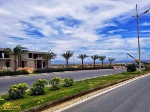 Kn Paradise Giá Rẻ Chính Chủ Đầu Tư Thiên Đường Nghỉ Dưỡng - Ngay Sân Bay Quốc Tế