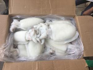 Cấp đông IQF