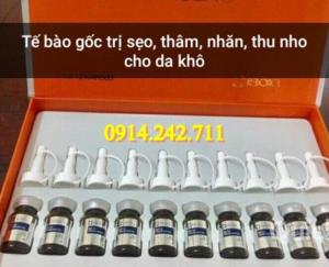 #tebaogoccangbongda, #tebaogoctrimun, #tebaogoctrinam, #tebaogoctriseo, #tebaogocreborncell
