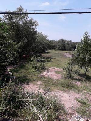Đất Nền Lớn 82m X 200m,Nở Hậu 150m Đường Nhựa Nguyễn Văn Khạ Thuộc Xã Phú Hòa Đông, Củ Chi