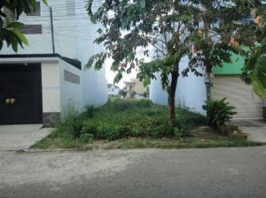 Chính chủ lô đất Quốc Lộ 51, xã Tân Hòa, thị xã Phú Mỹ, gần cảng quốc tế cái mép