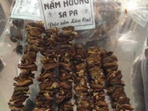 Nấm hương sapa ( đóng gói 0,5kg )