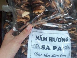 Nấm hương sapa ( đóng gói 0,5kg )