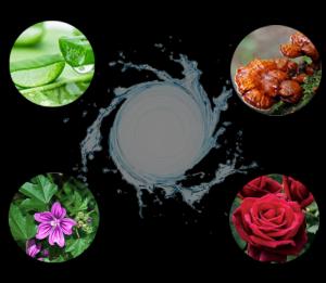 Bộ Dưỡng Ẩm Và Phục Hồi Da Cao Cấp