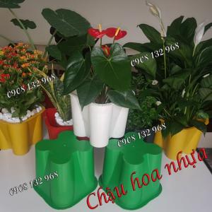 Chậu hoa nhựa giá sỉ