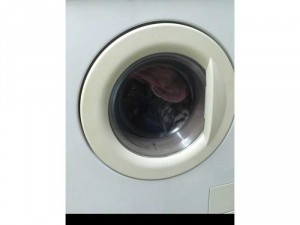 Bán máy giặt Electrolux sản xuất Ý cửa ngang