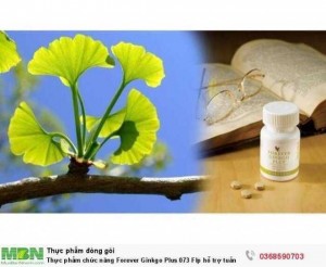 Thực phẩm chức năng Forever Ginkgo Plus 073 Flp hỗ trợ tuần hoàn máu - Bổ não