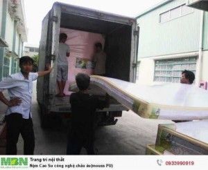 Nệm Cao Su công nghệ châu âu(mouss PU)
