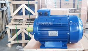 Mô tơ điện Elektrim