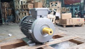 Mô tơ điện Enertech