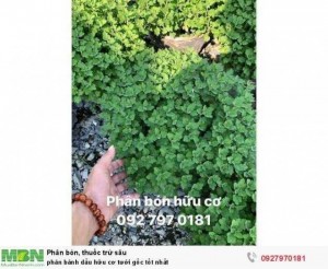 Phân bánh dầu hữu cơ tưới gốc tốt nhất