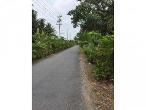 Đất nền Bến Tre 195m2 có 50m2 thổ cư