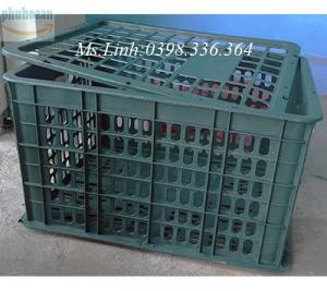 Rổ hoa quả giá rẻ
