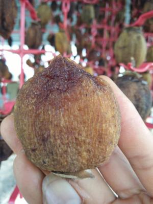 Bán hồng treo gió công nghệ Hàn Quốc đặc sản Đà Lạt tại Song Hành Hóc Môn