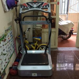 Máy Rung Giảm Cân Supper Kingsport Săn Chắc Body