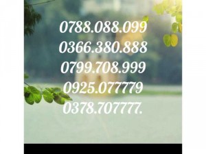 Sim số đẹp VIP chính chủ