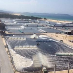 Sunco Group nhà sản xuất bạt nhựa đen hdpe, màng chống thấm hdpe