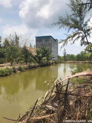 Bán 8500m2 đất tại xã Lý Nhơn, Huyện Cần Giờ, có nhà yến, đang có thu nhập, có vườn cây ăn trái, ao cá