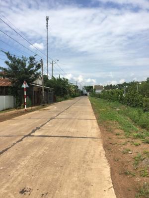 Bán đất Xuân Đông Cẩm Mỹ Đồng Nai gần trường tiểu học Nguyễn THượng Hiền