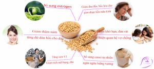 Mầm đậu nành nguyên xơ LêHome