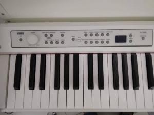 Piano Điện KORG LP380 new 100%