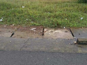 Cần Bán 2 Lô Đất Mặt Đường Ql1a