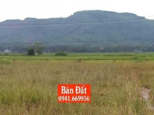 Cần Bán 2 Lô Đất Mặt Đường Ql1a