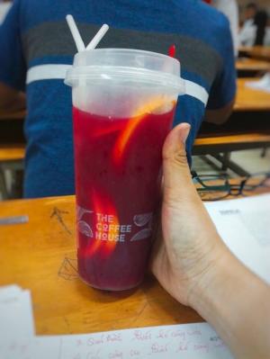 Siro hoa Atiso đỏ - Hibiscus - Bụp giấm