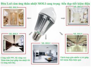 Đèn cảm ứng thân nhiệt BSL9