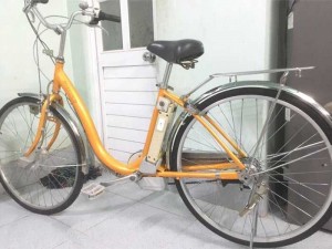 Xe đạp trợ lực sanyo