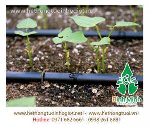 Tưới nhỏ giọt azud tây ban nha, hệ thống tưới nhỏ giọt azud Tây Ban Nha,thiết bị tưới nhỏ giọt azud tây ban nha, công nghệ tưới nhỏ giọt tây ban nha