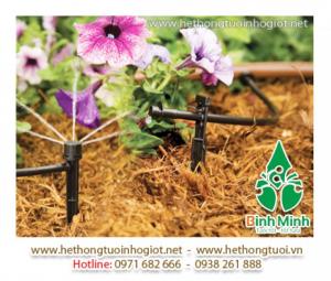 Tưới nhỏ giọt azud tây ban nha, hệ thống tưới nhỏ giọt azud Tây Ban Nha,thiết bị tưới nhỏ giọt azud tây ban nha, công nghệ tưới nhỏ giọt tây ban nha